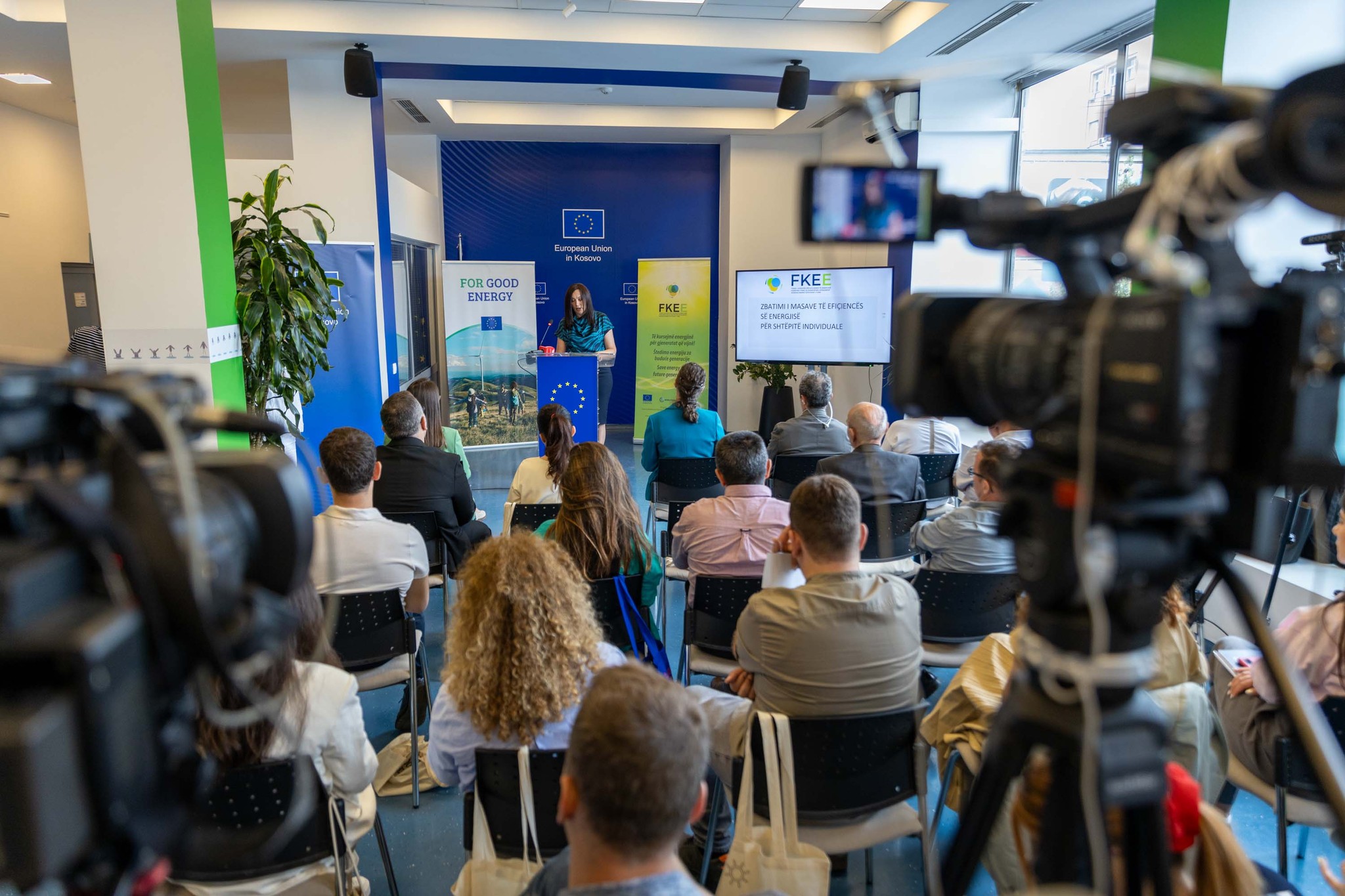 A New Era of Energy Efficiency Subsidies