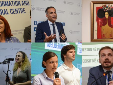The European Union Information and Cultural Centre concludes successful year 2018 with many activities and increased visibility