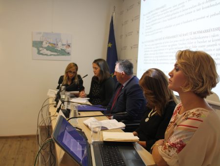 EUICC hosted the panel discussion ‘Amending Family Law: Equal gender rights or economic equality?’