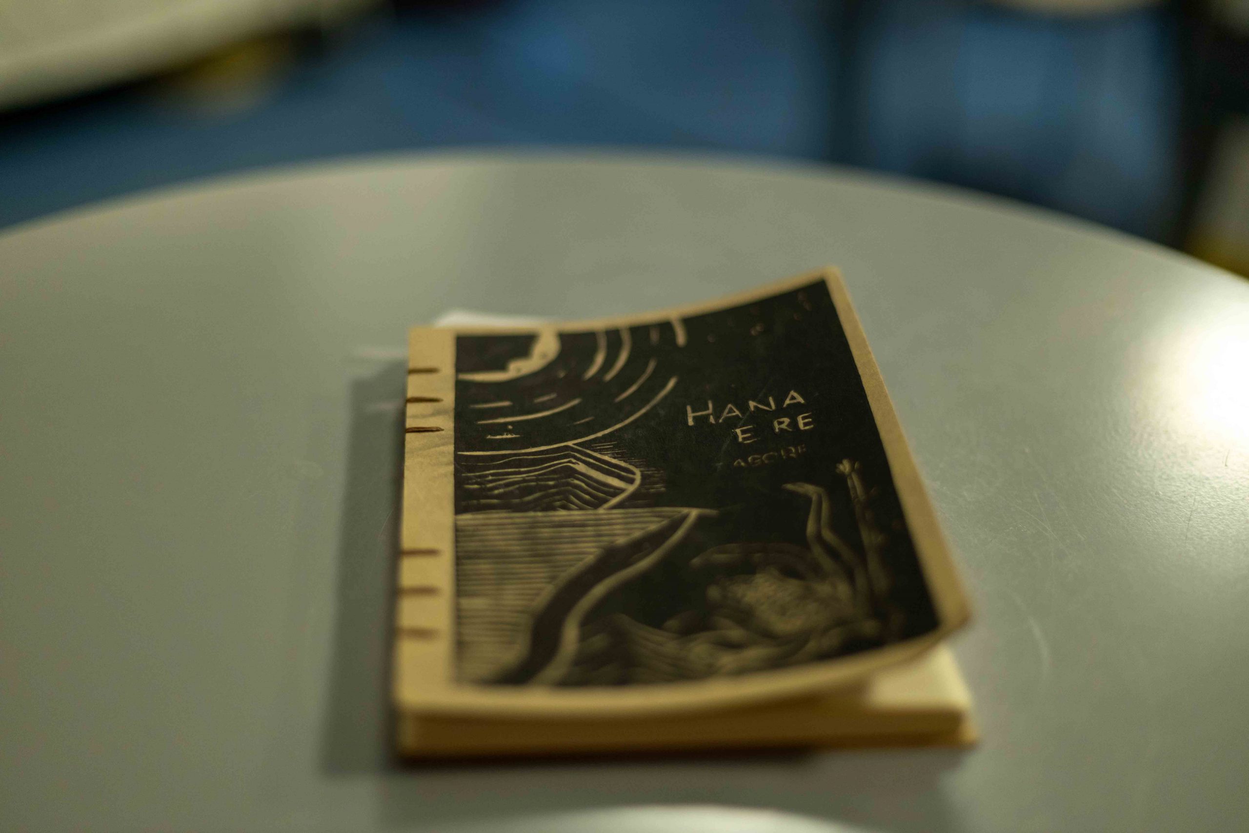Tagore’s “The Crescent Moon” presented at Europe House Kosovo