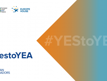 Young European Ambassadors discuss with Ambassador Szunyog